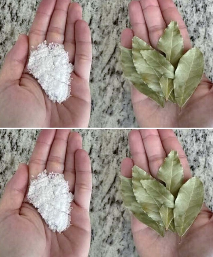 Alloro, sale e bicarbonato: incredibili benefici in casa