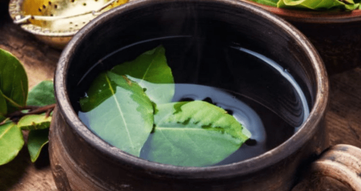 Il consiglio più antico delle casalinghe, cucinare alloro e limone: risparmi un sacco di soldi!