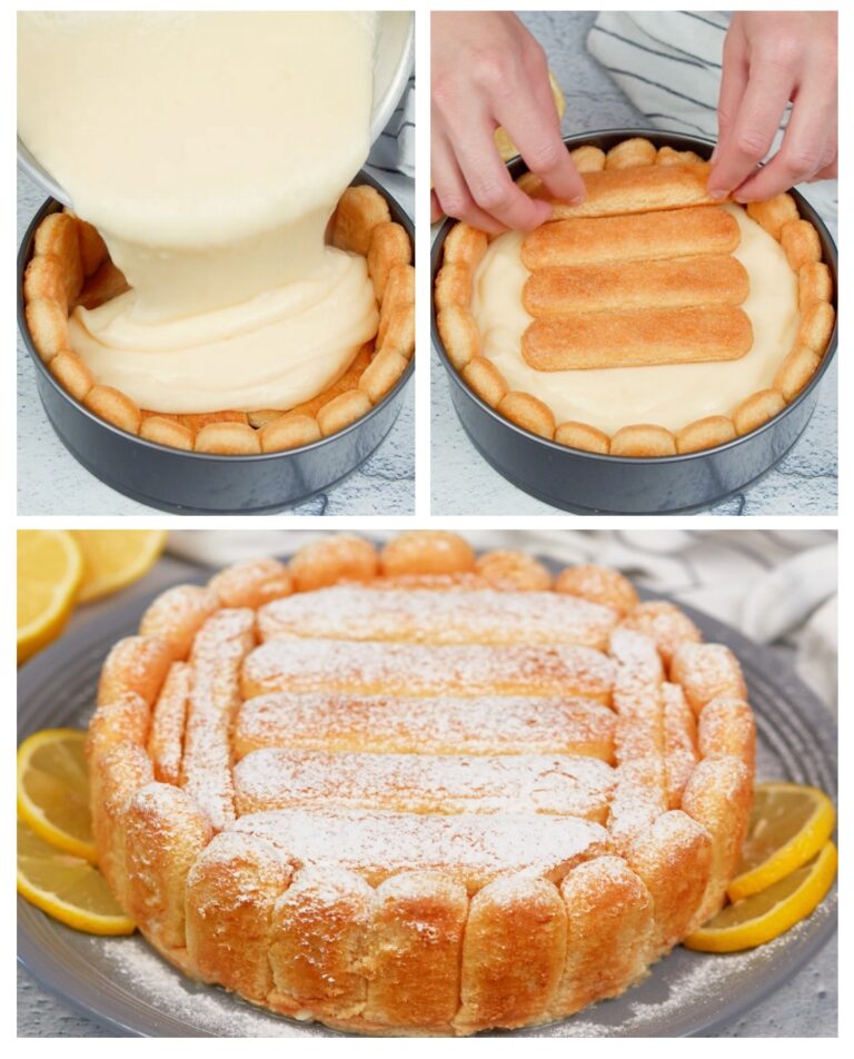 Charlotte al limone: il delizioso dessert senza cottura per preparare la Charlotte al cedro