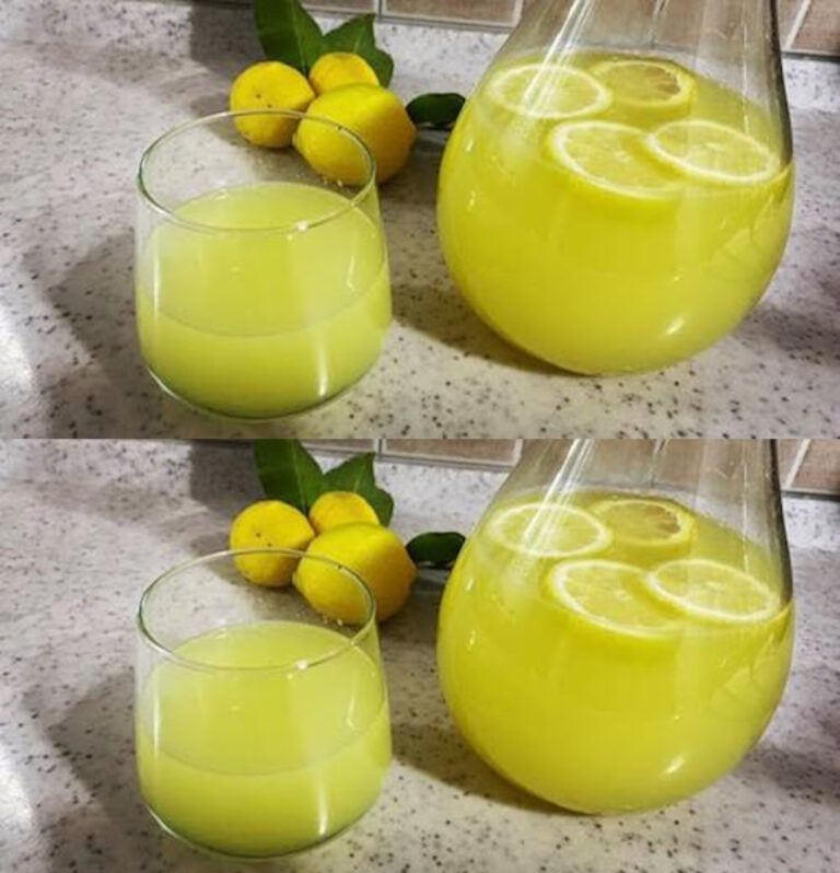 Zelfgemaakte limonade van 3 ingrediënten