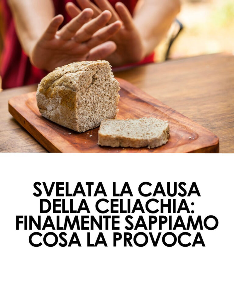 Finalmente svelata la causa della celiachia: scoperto il meccanismo che scatena la risposta immunitaria al glutine