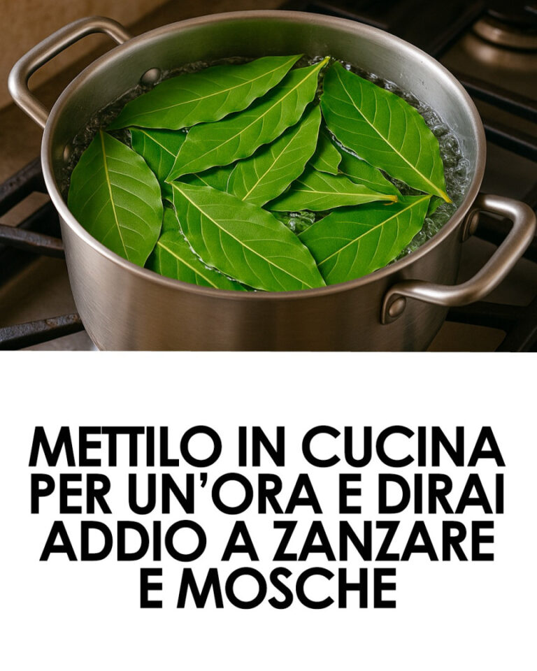 Alloro contro insetti: come usarlo per risultati visibili in 1 ora