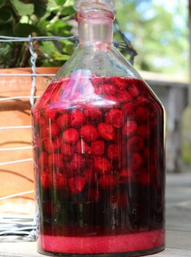 La Ricetta del Fragolino: Un Delizioso Liquore Casalingo da Provare