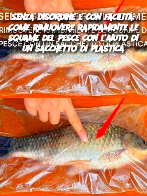 Senza disordine e con facilità: Come rimuovere rapidamente le squame del pesce con l’aiuto di un sacchetto di plastica