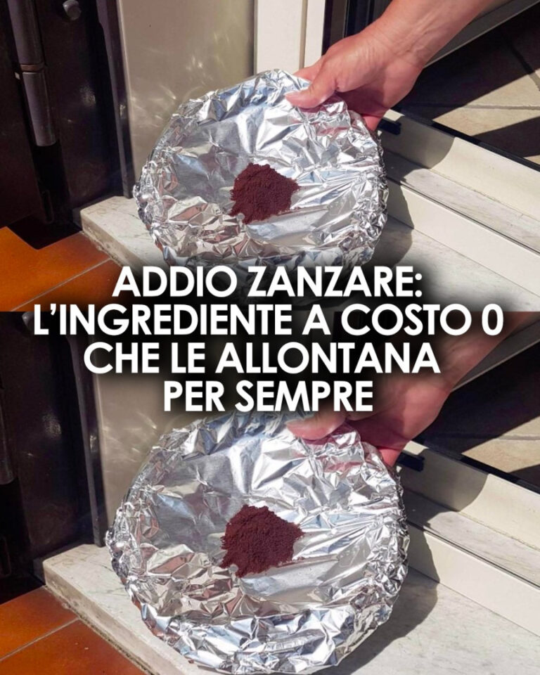 Addio zanzare con il caffè: rimedio semplice e naturale