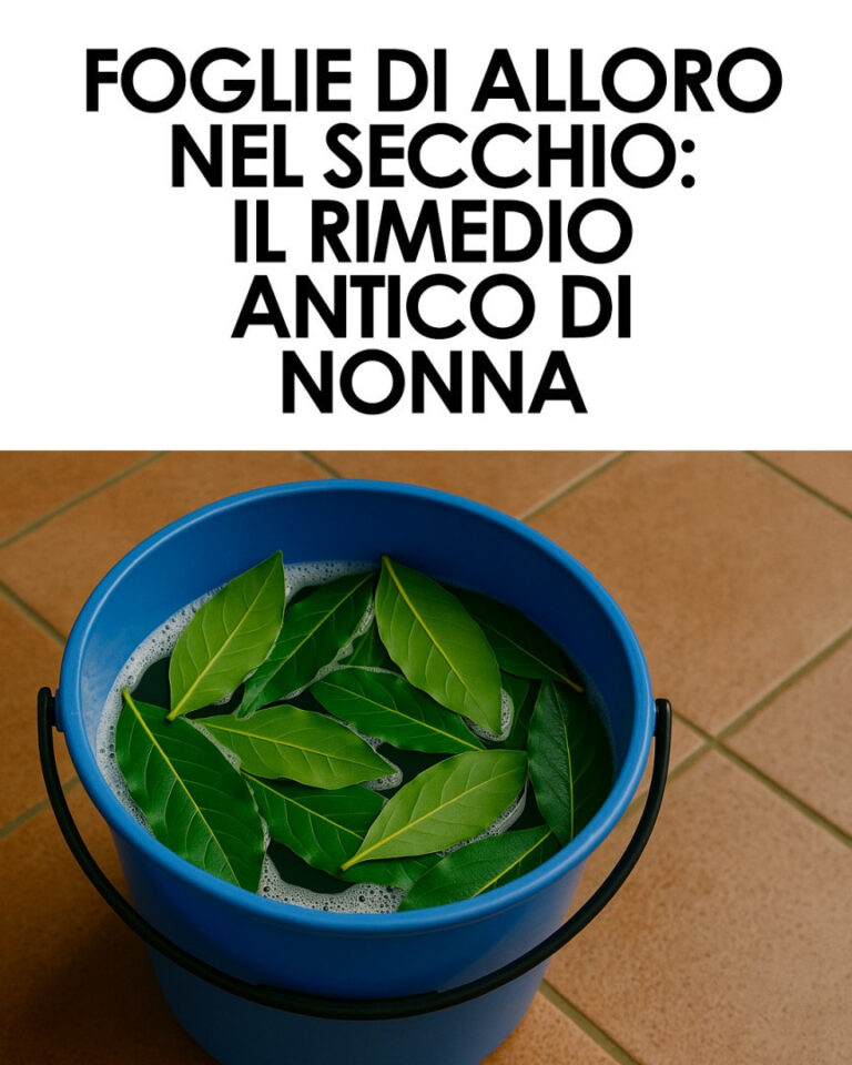 Foglie di Alloro nel Secchio dell’Acqua: Perché Usarle per le Pulizie di Casa
