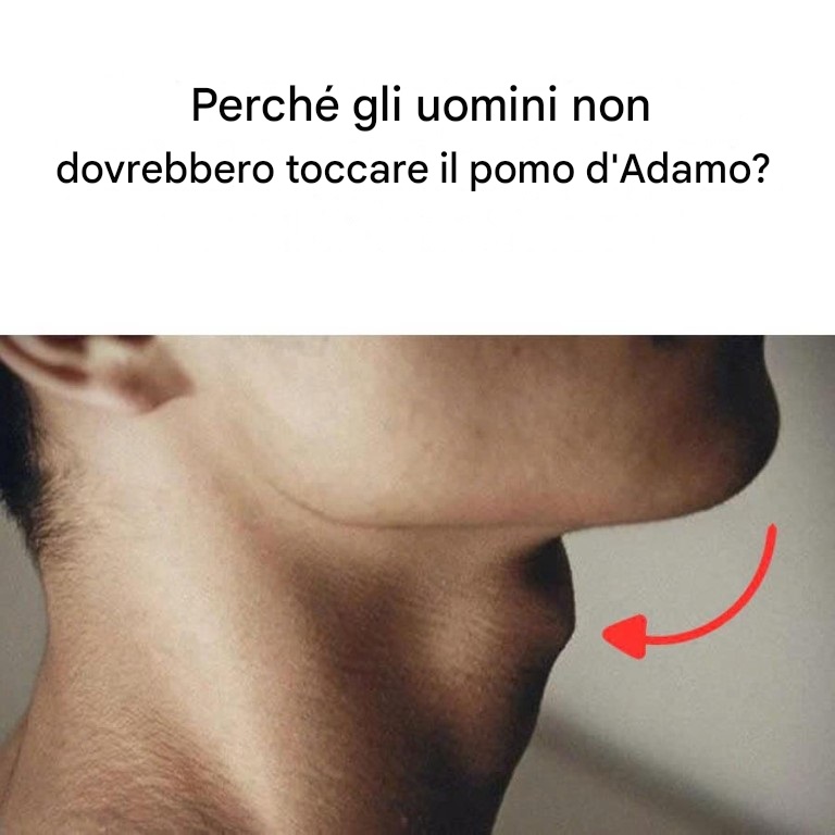 Perché gli uomini non dovrebbero toccare il pomo d’Adamo?