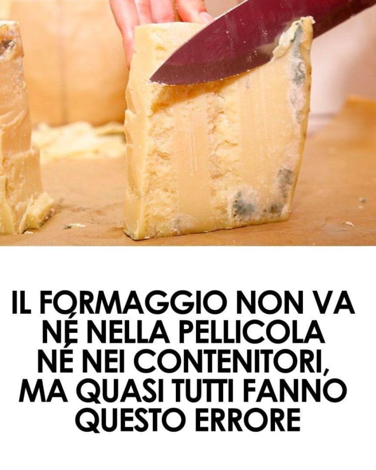 Parmigiano, come conservarlo correttamente per evitare muffa e sprechi