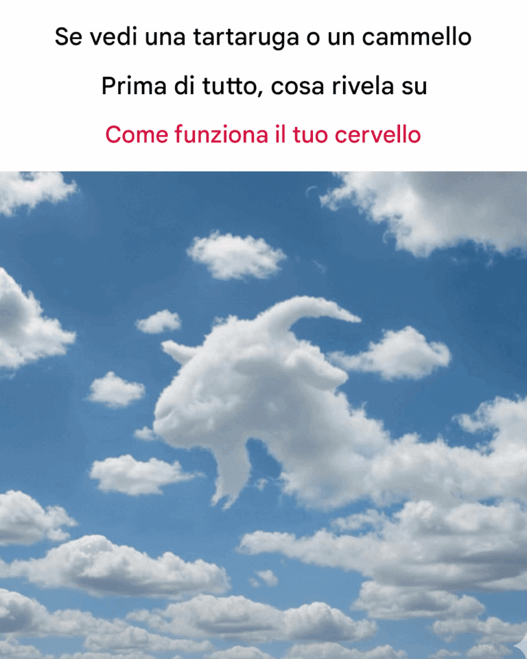 Se vedi prima una tartaruga o un cammello: cosa rivela sul funzionamento del tuo cervello