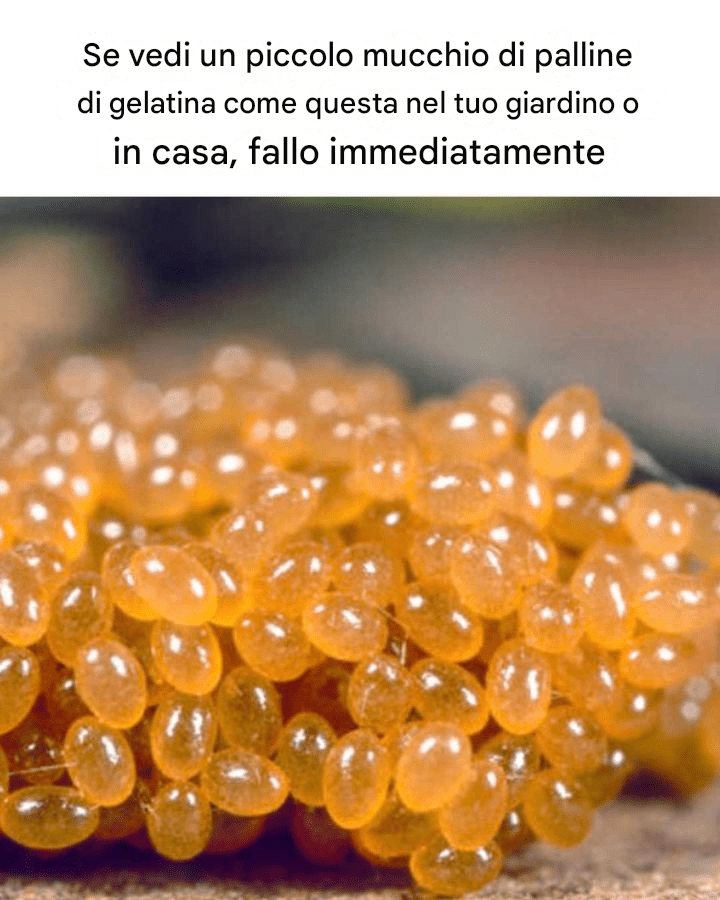 Sembrano così innocui