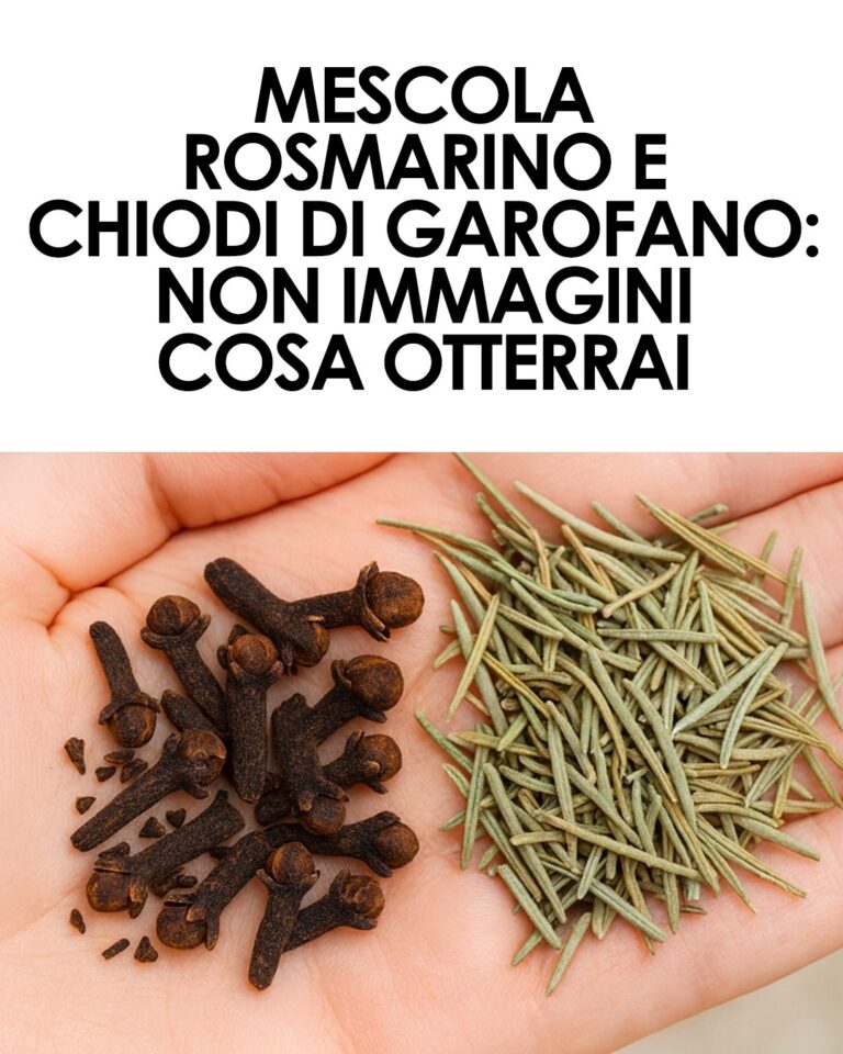 Rimedio Naturale: Rosmarino e Chiodi di Garofano – Un Segreto Sorprendente