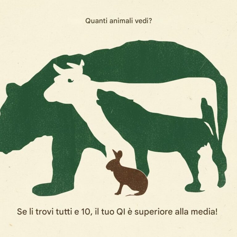 Indovina gli animali nascosti