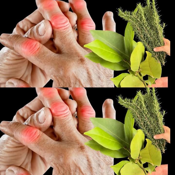 Foglia di alloro: un milione di volte più forte di qualsiasi unguento