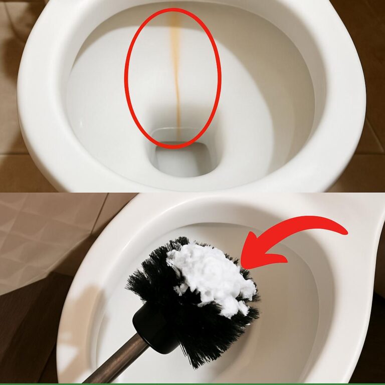 Trucco per pulire il WC