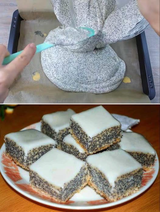 Torta di ricotta con semi di papavero: dolce soffice e irresistibile