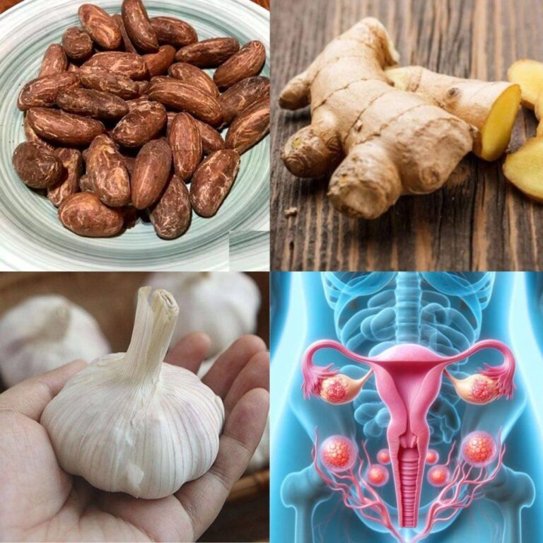 Energia naturale in un bicchiere