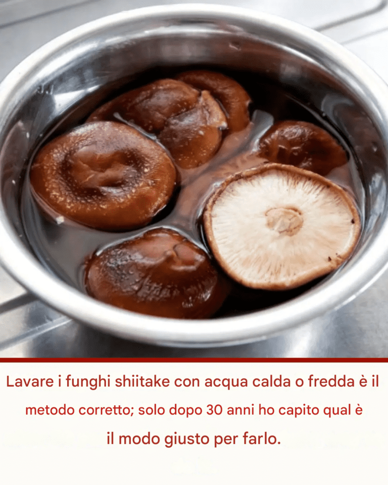 Lavare i funghi shiitake