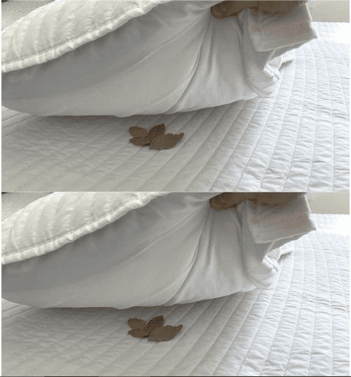 Metti 2 foglie di alloro sotto il cuscino: sai perché?