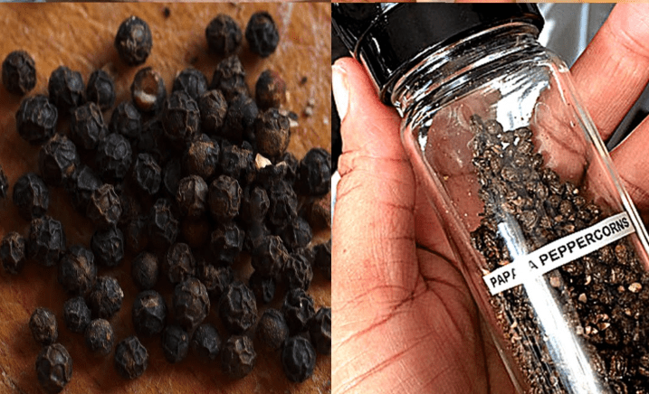 Benefici dei semi di papaya