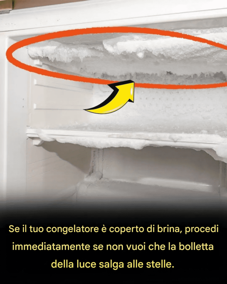 Congelatore coperto di brina