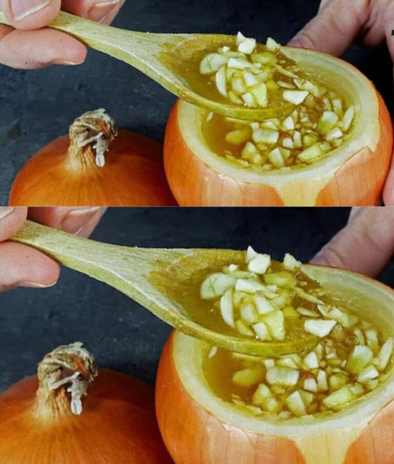 Elisir di miele e cipolla